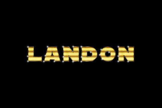 Landon