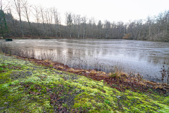 Maurersee Illingen