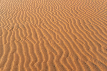 Fototapeta na wymiar Abstract background and texture of sand waves in desert