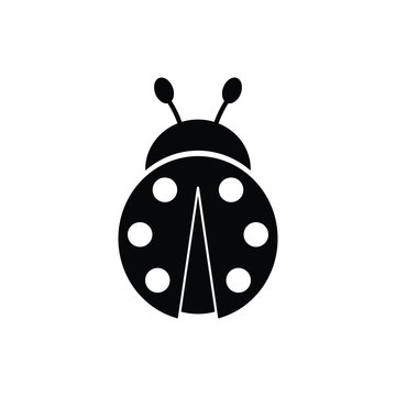 ladybug  icon black vector sign