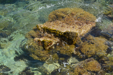 impressions from Nice, France