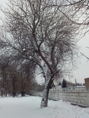 bench in winter park