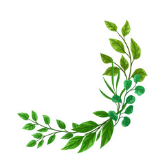 Background of sprigs with green leaves.