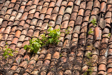 Close up of old ceramic roof tiles