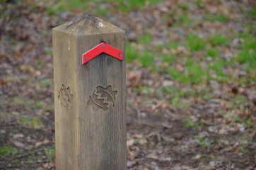 Trail sign in the woods