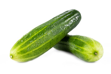 Wet cucumber isolated on white background
