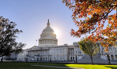 The United States Capitol Building in Washington, DC.