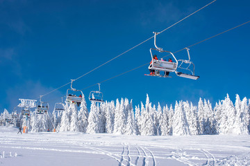 Skiers on chairlift at mountain ski resort with snowy fir trees in the background