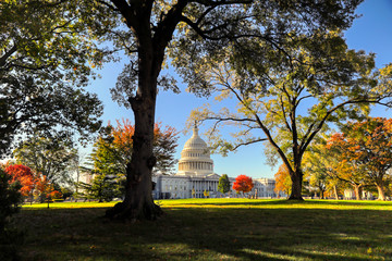 The United States Capitol Building in Washington, DC.