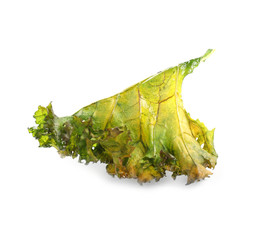Fototapeta premium Tasty baked kale chip isolated on white