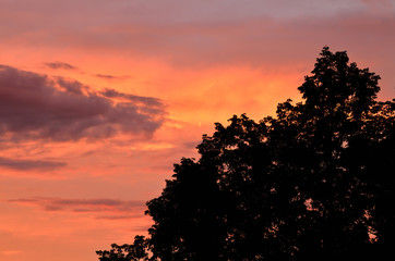 Silhouette of trees and mountains in background at sunrise.