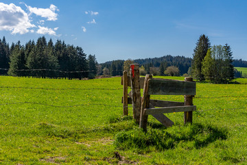 Weidezaun mit Durchgang an einer Sommerwiese