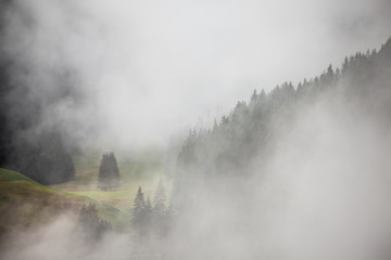 A cloudy day over an Italian mountain forest