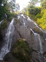 waterfall in forest