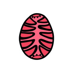 Easter hand drawn decorative ornate egg isolated on white background. Doodle cute vector