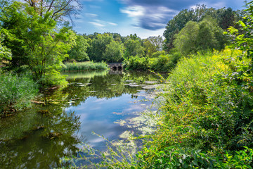 paradise lake