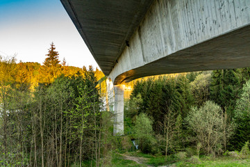 Wald unterhalb einer Brücke