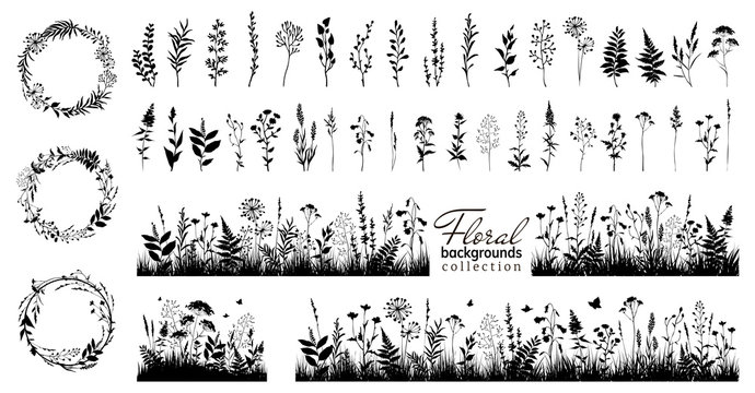 Big floral collections of black silhouettes of meadow herbs, floral backgrounds and wreaths. Wildflowers. Wild grass. Floral elements for your design. Vector illustration.
