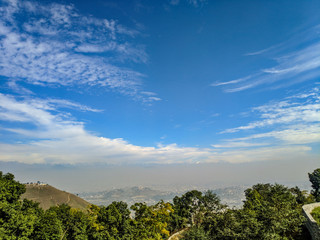 landscape with trees and blue sky