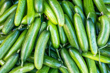 A pile of very delicious exotic vegetables, cucumber in a grocery.