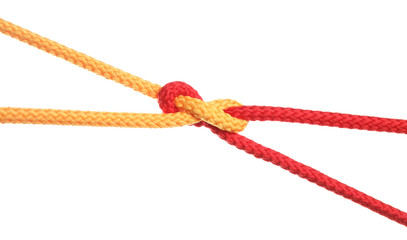 Colorful ropes tied together with knot isolated on white. Unity concept