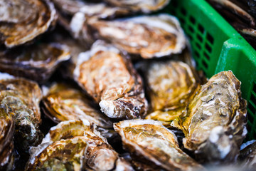 fresh oysters close up view