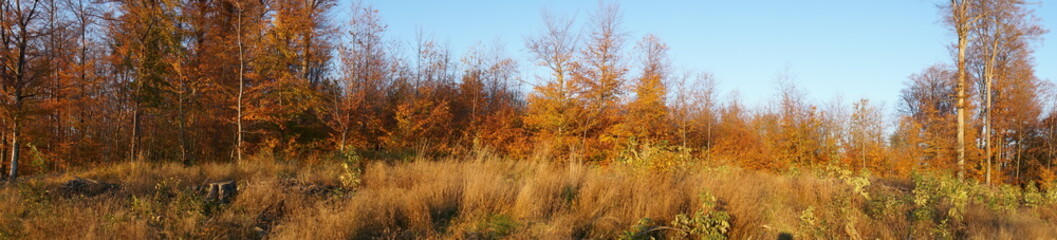 Obraz premium Panorama