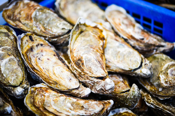 fresh oysters close up view