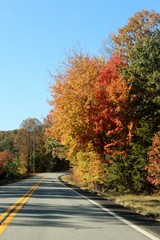 road in autumn