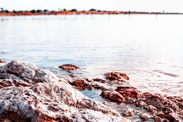 Torrevieja Pink Lake in Alicante, Spain