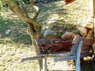 farm and decorations