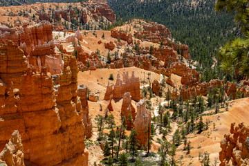 Bryce canyon