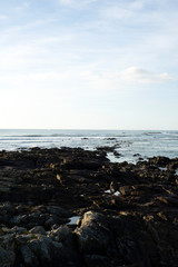marée basse