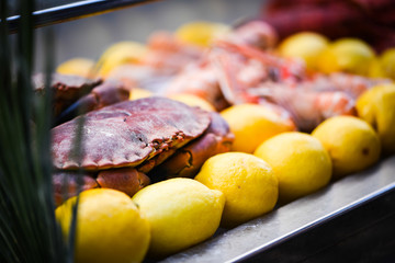 fresh lobster close up view