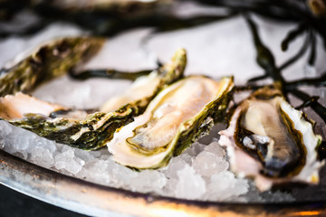fresh oysters close up view
