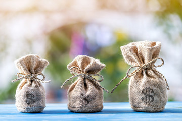 Money bag with growing value put on the vintage blue wooden board  in the public park, Loan to...