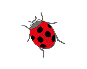 Ladybird on white background. Cute cartoon ladybug icon.