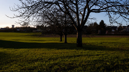 verger le soir