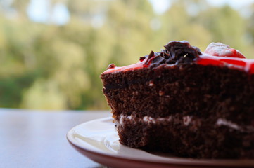 piece of chocolate cake