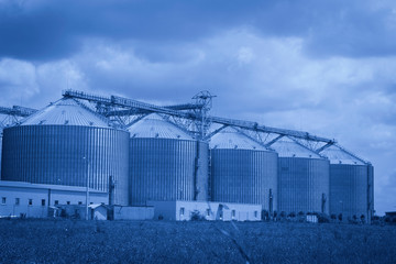 Fototapeta na wymiar Modern granary plant toned in classic blue trend 2020 Space for text