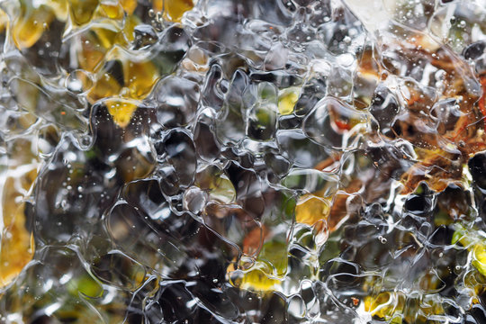 Layer of transparent ice over mosses on side of rosd near Blowing Rock, North Carolina.
