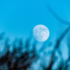 Mond über Landschaft