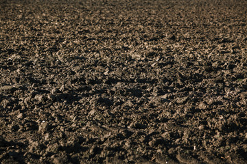 Ploughed field. Background from a plowed field