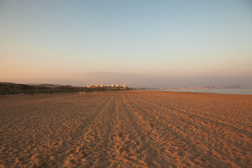 Paisaje soltirario en la playa