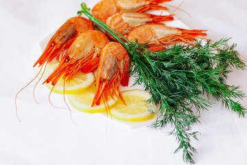 Shrimp on a plate with lemon and dill. White background