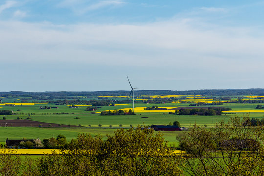 A wind turbine stands alone in the otherwise flat farmland landscape in Skåne, south of Sweden, on a bright spring day with yellow and green fields