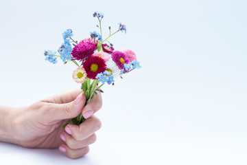 Beautiful soft woman hands hold bunch of small flowers forget me nots and daisies Isolated on white