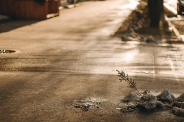 empty city defocus the road, city street without people