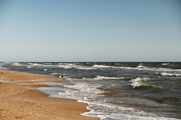 coast of the Sea of Azov Kuchugury Russia, beach, surf in the background of the blue sea, a seagull walks on the beach