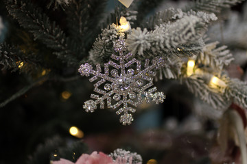 Snowflake from the glass on the snowy spruce branch.